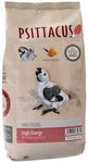 Papilla Psittacus High Energy Hand Feeding 1kg